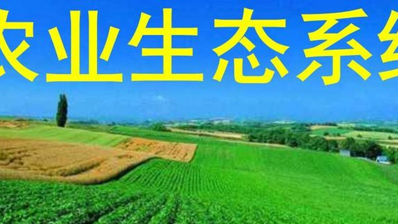 农业项目代理区域保护政策：如何守护绿色未来**