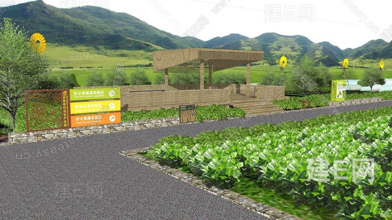 农民专业合作社理事与监事：职责分明，共筑农业合作新篇章