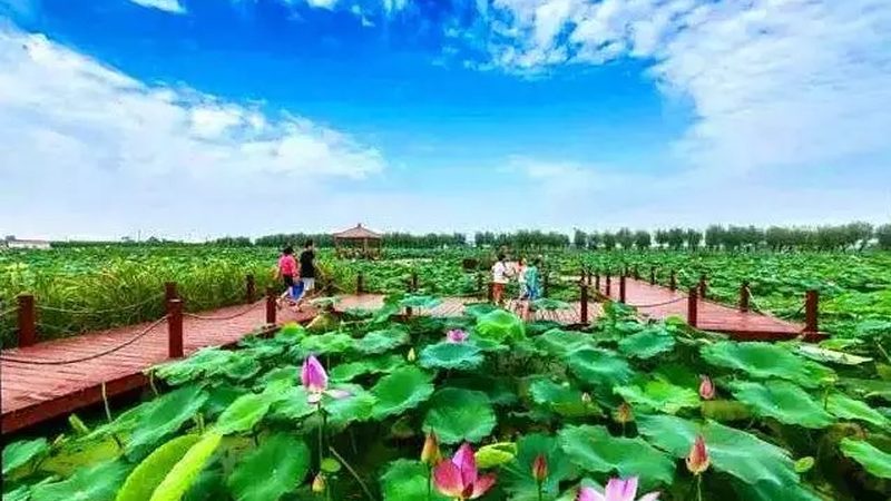 生鲜配送食品安全许可证：保障您餐桌上的安全