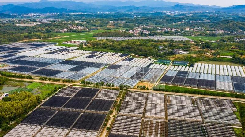 选址关键：揭秘农业公司粮食种植基地的黄金法则**