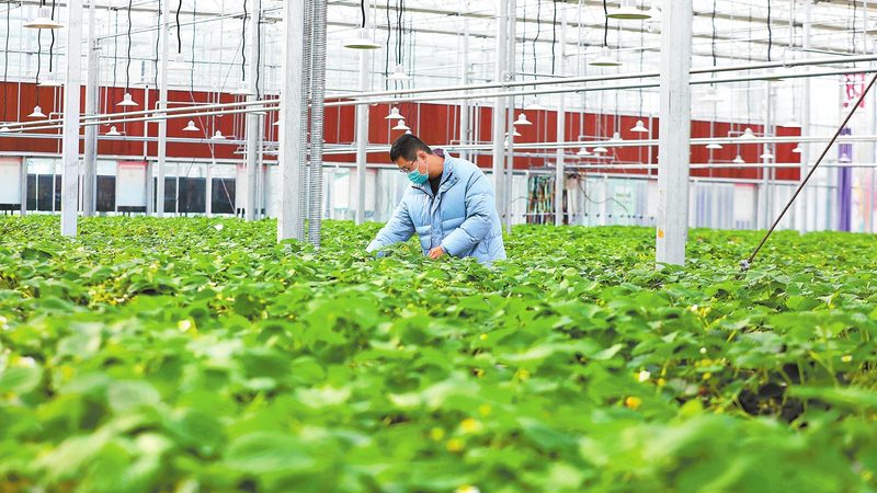 农业项目生产设备操作规范：保障效率与安全的要点解析