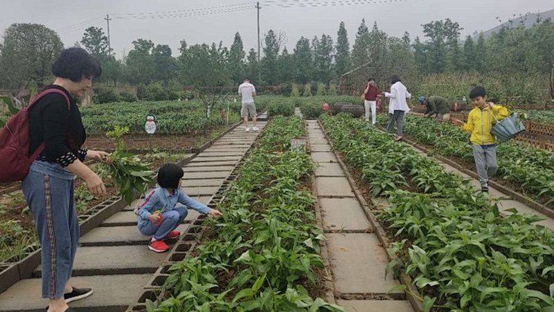 农业用地选址：科学规划，提升产出**