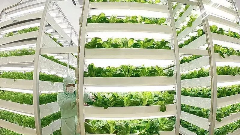 果蔬配送合同有效期：关键因素与合理期限
