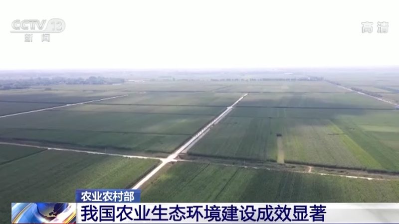 绿色食品认证标准GB/T 19630：揭秘绿色食品的“绿色密码