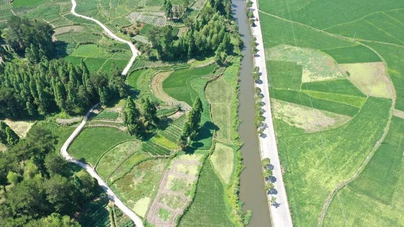 2025年全国农产品批发市场展会排期怎么看