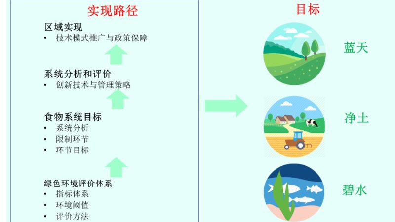 农产品配送价格表：如何识别合理性与陷阱