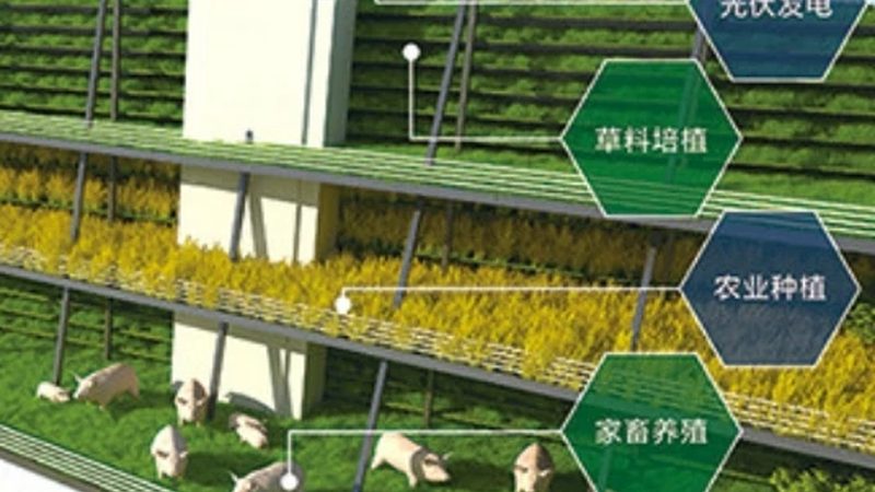 云南花卉种植病虫害防治：注意事项与科学方法
