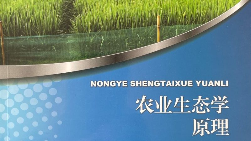 有机粮食种植国家标准：守护绿色餐桌的基石