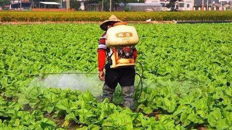 果蔬配送中心成本预算明细解析