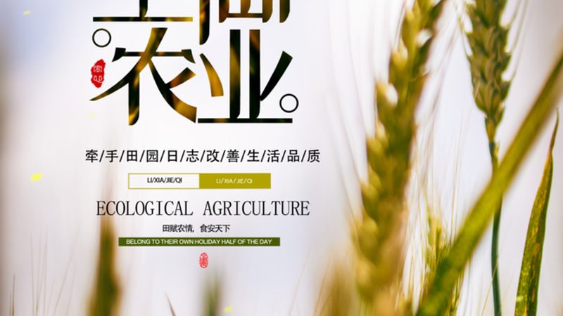 农资短视频拍了上百条却没咨询，问题出在哪
